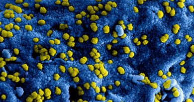 decorative image of virus