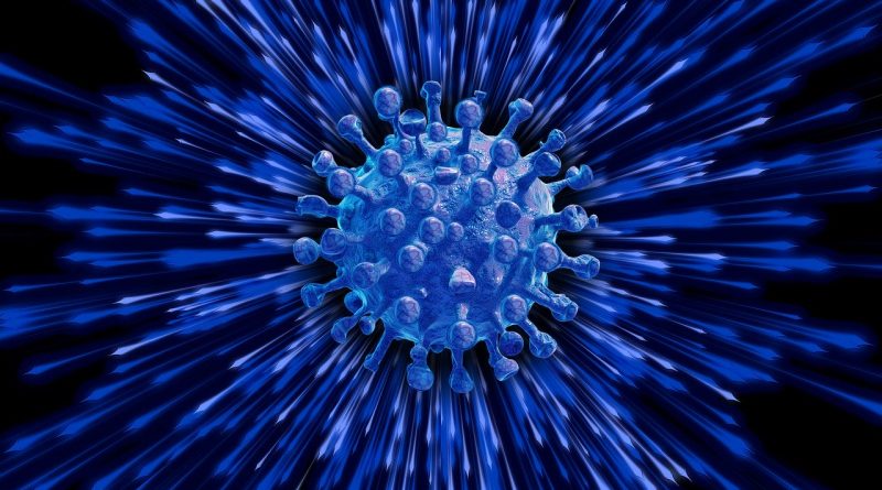coronavirus vaccine development