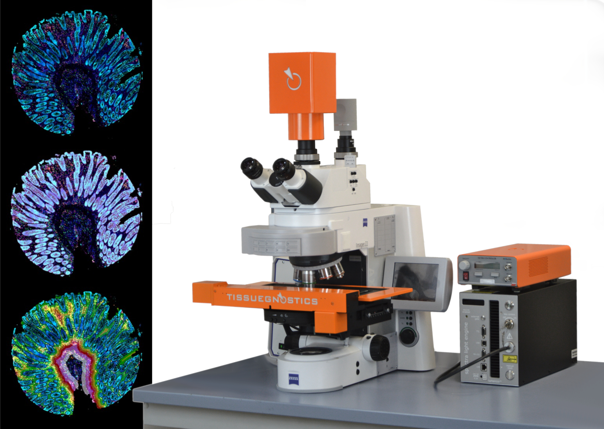 Brightfield & Multispectral Fluorescence Imaging and Spectral Unmixing