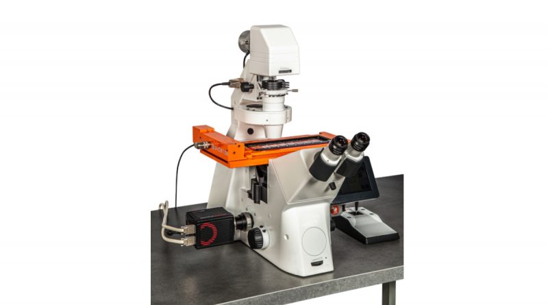 Brightfield and Fluorescence Scanning System