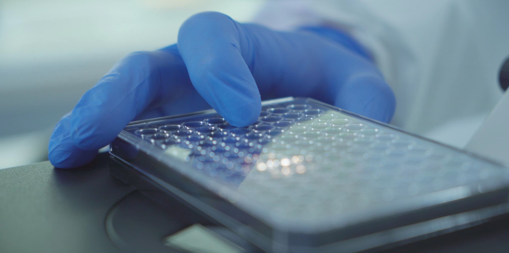 Preassembled Microtiter Plate with Synthetic Hydrogels