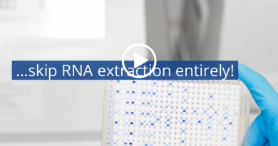 pcr's without rna extraction video