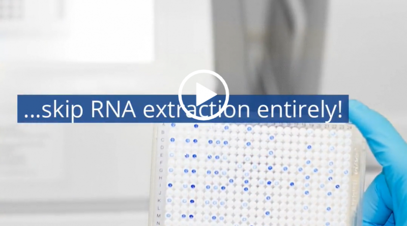 pcr's without rna extraction video