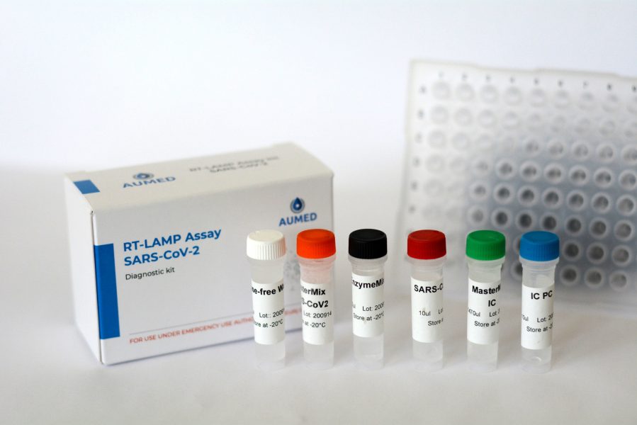 RT-LAMP Assay Kit for Diagnostics of SARS-CoV-2