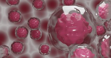 hyaluronic acid for 3D cell cline development
