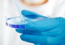 Ori Biotech Raises €88M to Automate Cell Therapy Manufacture