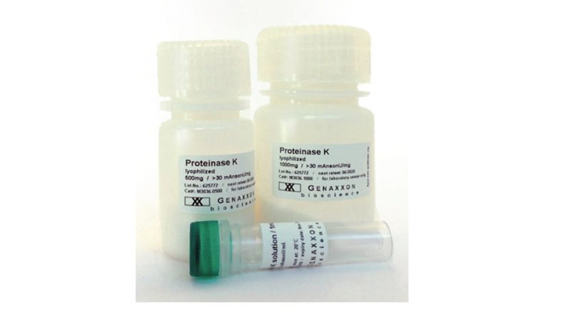 Proteinase K for pcr