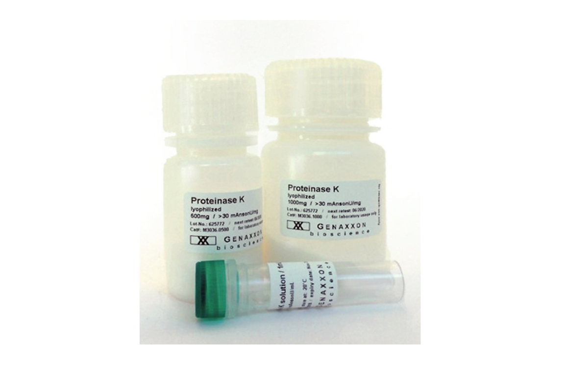 Proteinase K Solution for PCR