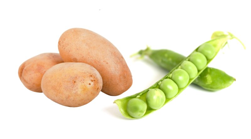 GERBU offers high-quality vegetable peptones derived from potato and pea