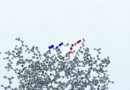 Biosynth’s Epitope Mapping Services – Video