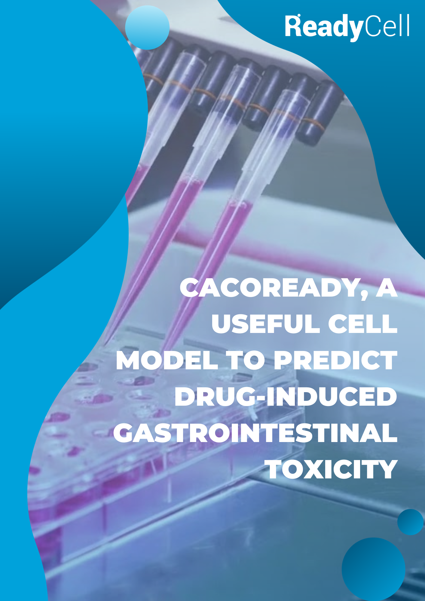 Intestinal Toxicity A Game-Changer in Predicting Drug-Induced Gastrointestinal Toxicity