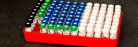 rapid plasma protein binding kit