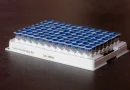 High-Throughput Assay Kit for Albumin (HSA) Binding