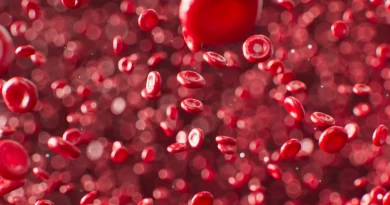 decorative Erythrocytes – Red Blood Cells (RBCs)