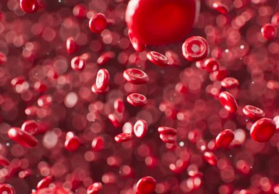 decorative Erythrocytes – Red Blood Cells (RBCs)