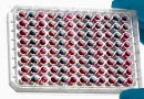 Microfluidic Platform for Advanced In Vitro Research – AKITA® Plate96-Single