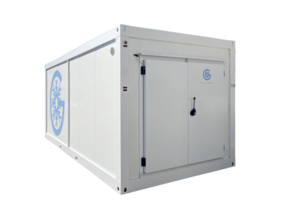 20 FT Standard Refrigerated & Deep-Freezer Containers