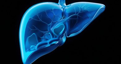 decorative liver