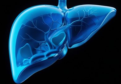 decorative liver