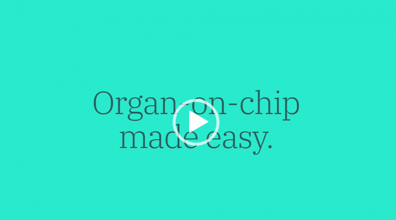 microfluidic chips