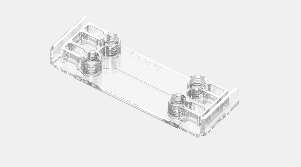 BDF-1 (1)_cropped_processed_by_imagy