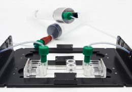 microfluidic chip accessories