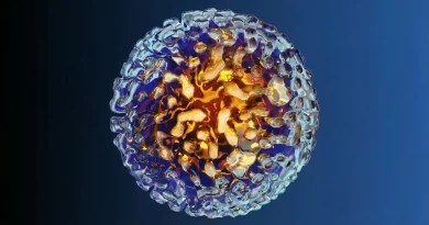 Sanofi Strengthens Vaccine Portfolio with $2.2B Dynavax Acquisition