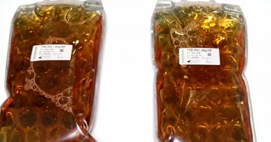 Culture Media in Bags for Aseptic Process Simulation