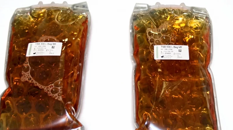 Culture Media in Bags for Aseptic Process Simulation
